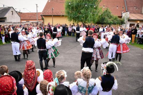 Fotogalerie - Slovácké hody s právem